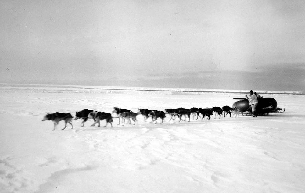 A dog team pulls a sled with one of the Snow Cruiser’s massive spare tires, on January 17, 1940.