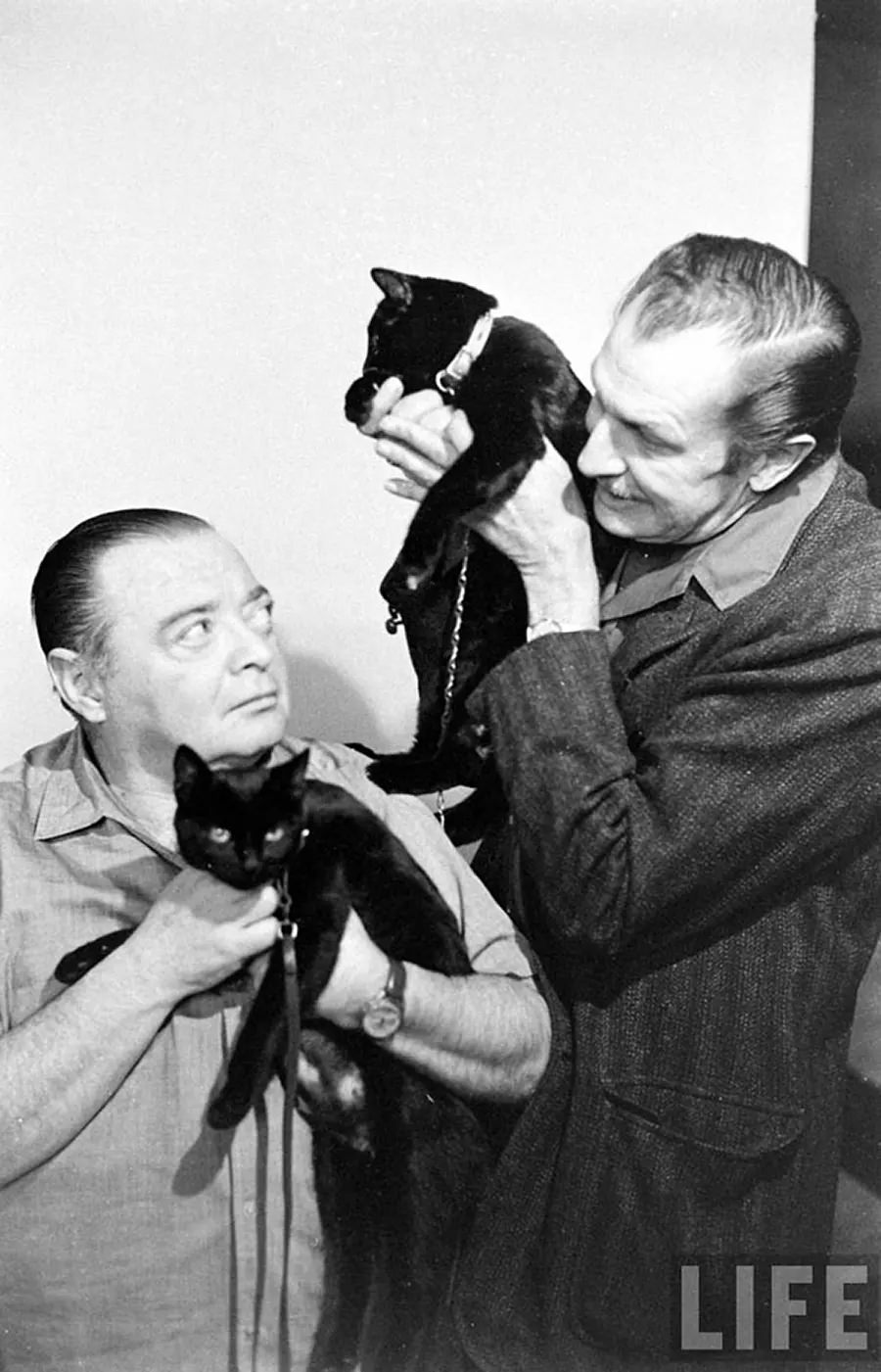 Audition for the Perfect Black Cat in Hollywood in 1961