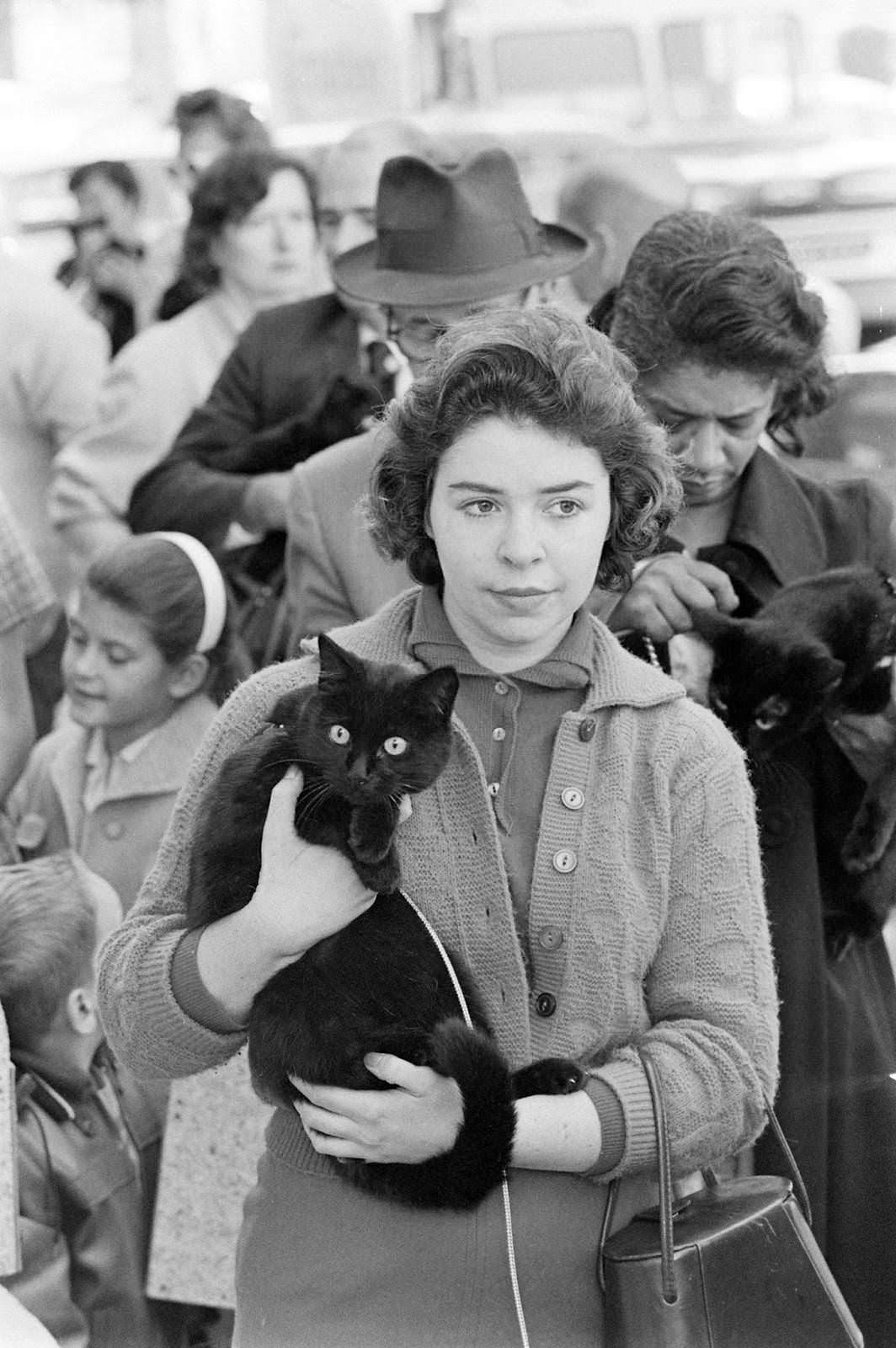 Audition for the Perfect Black Cat in Hollywood in 1961