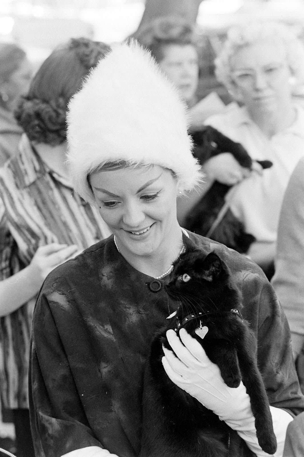 Audition for the Perfect Black Cat in Hollywood in 1961