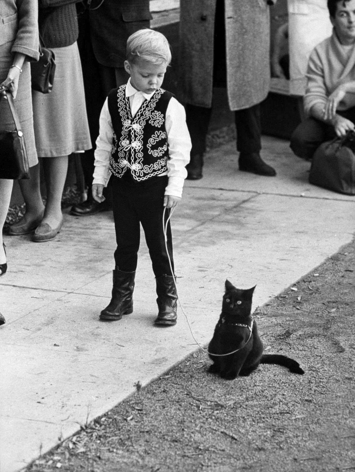 Audition for the Perfect Black Cat in Hollywood in 1961