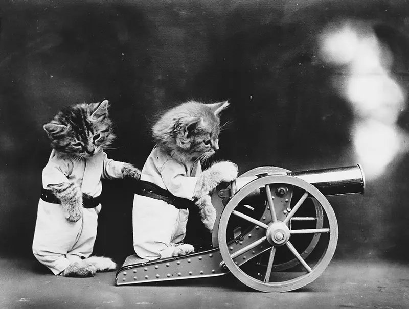 Funny and Cute Historical Photos of Cats and Dogs dressed up as People, 1910s