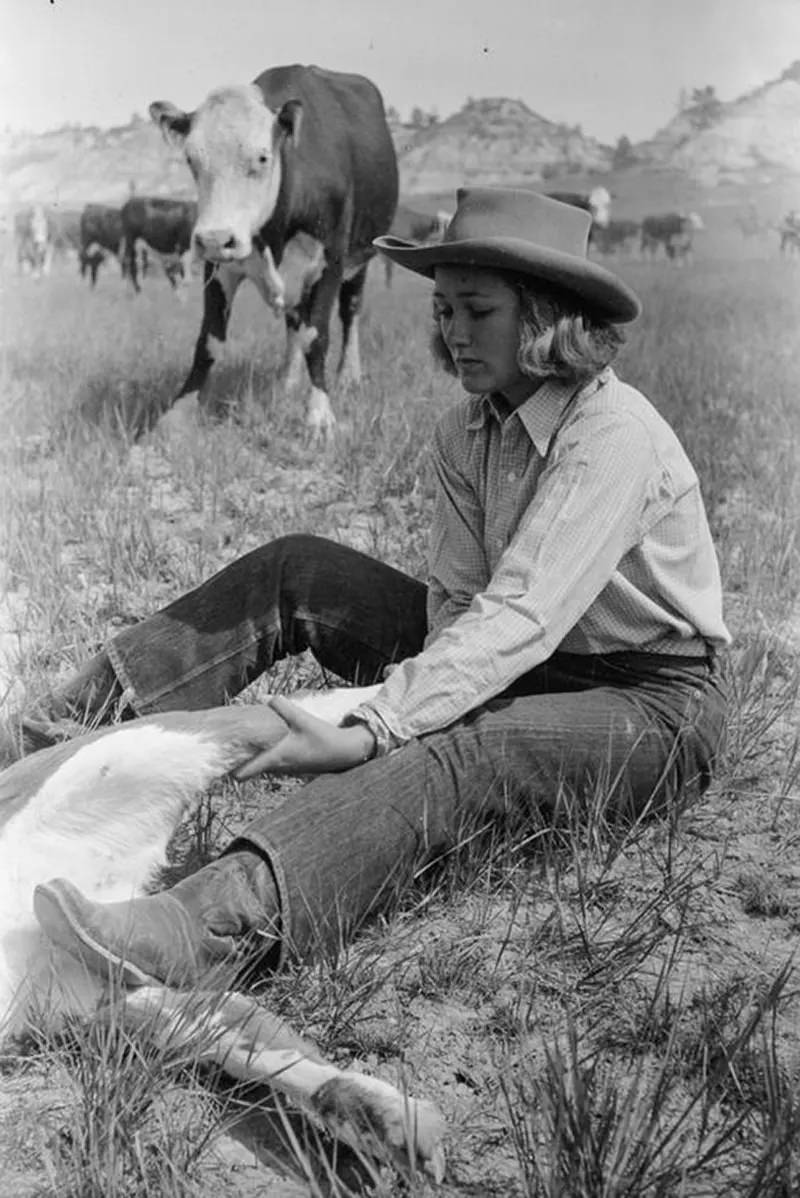 Cowboys Rounding Up Cattle on the Montana Range in 1939