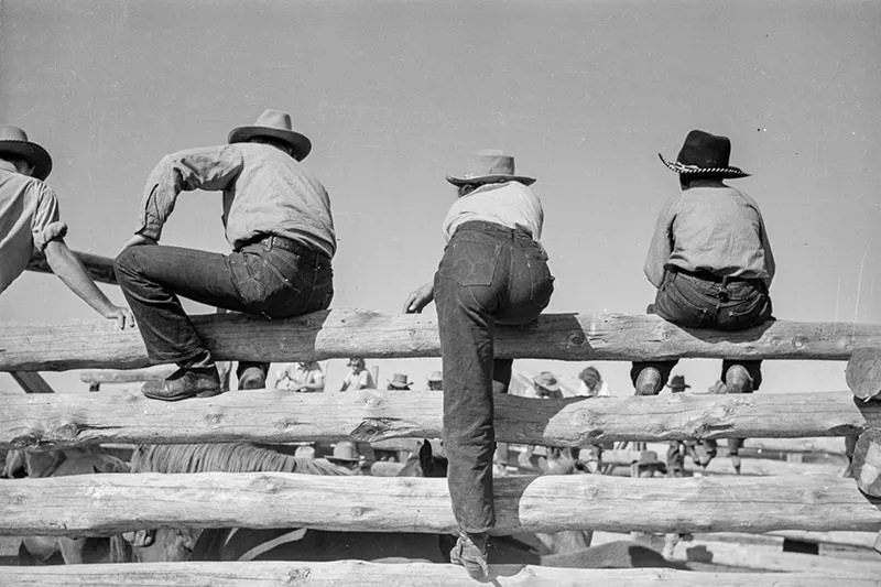 Cowboys Rounding Up Cattle on the Montana Range in 1939