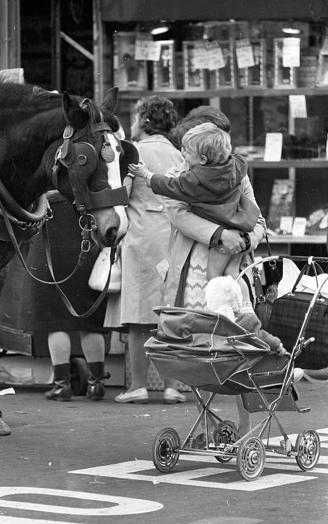 A child making friends with a horse in O'Connell St, Dublin, 1973