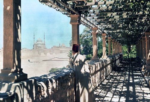 Man peers out from a latticework covered balcony.