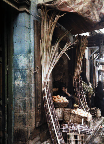 Sugarcane vendors waiting for customers.