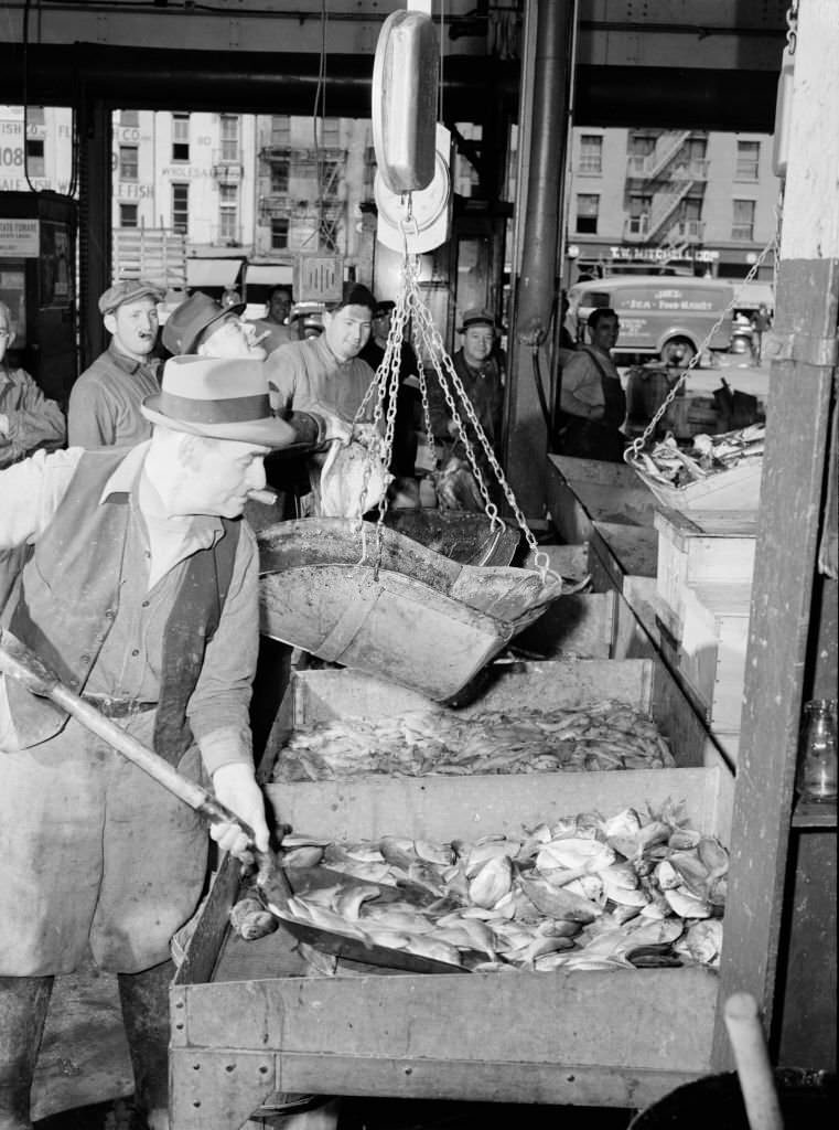 A "seller" shovelling redfish onto the scales in the Fulton fish market. Artist Gordon Parks.