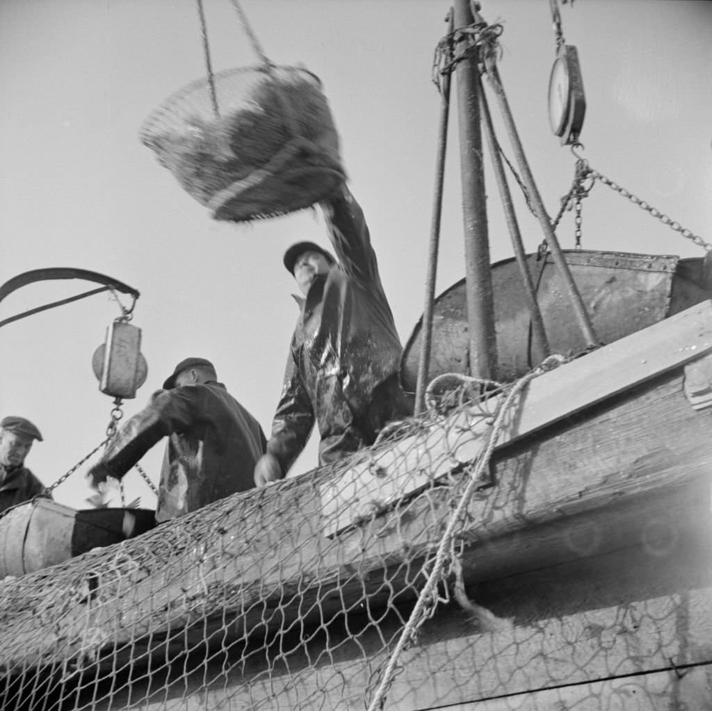 Dock Stevedores at the Fulton Fish Market, 1930s