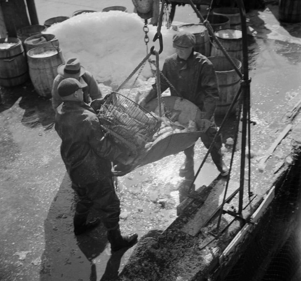 Fulton fish market dock stevedores unloading and weighing fish in the early morning.