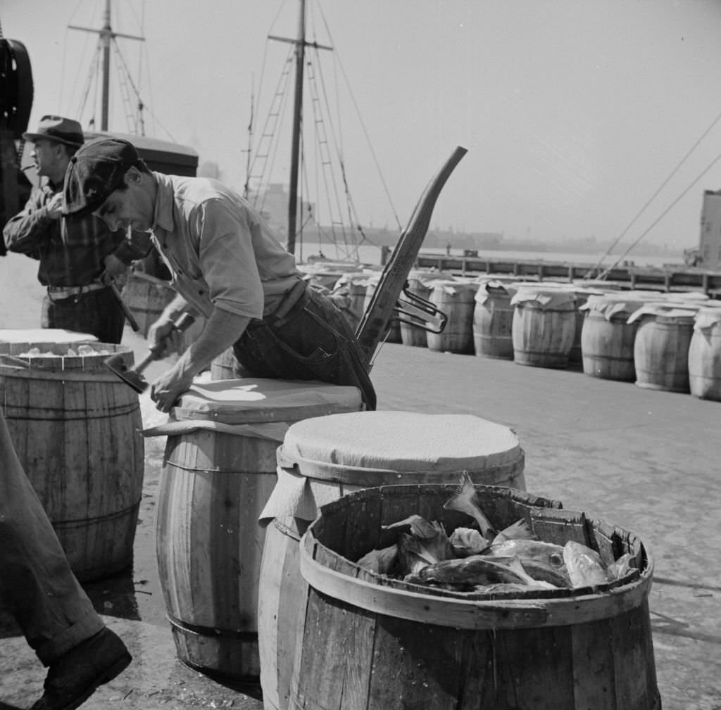 Packing fish in barrels at the Fulton fish market, 1930s