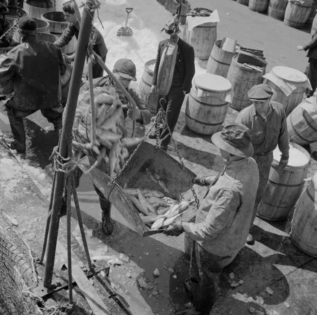 Fulton fish market stevedores unloading and weighing fish in the early morning.