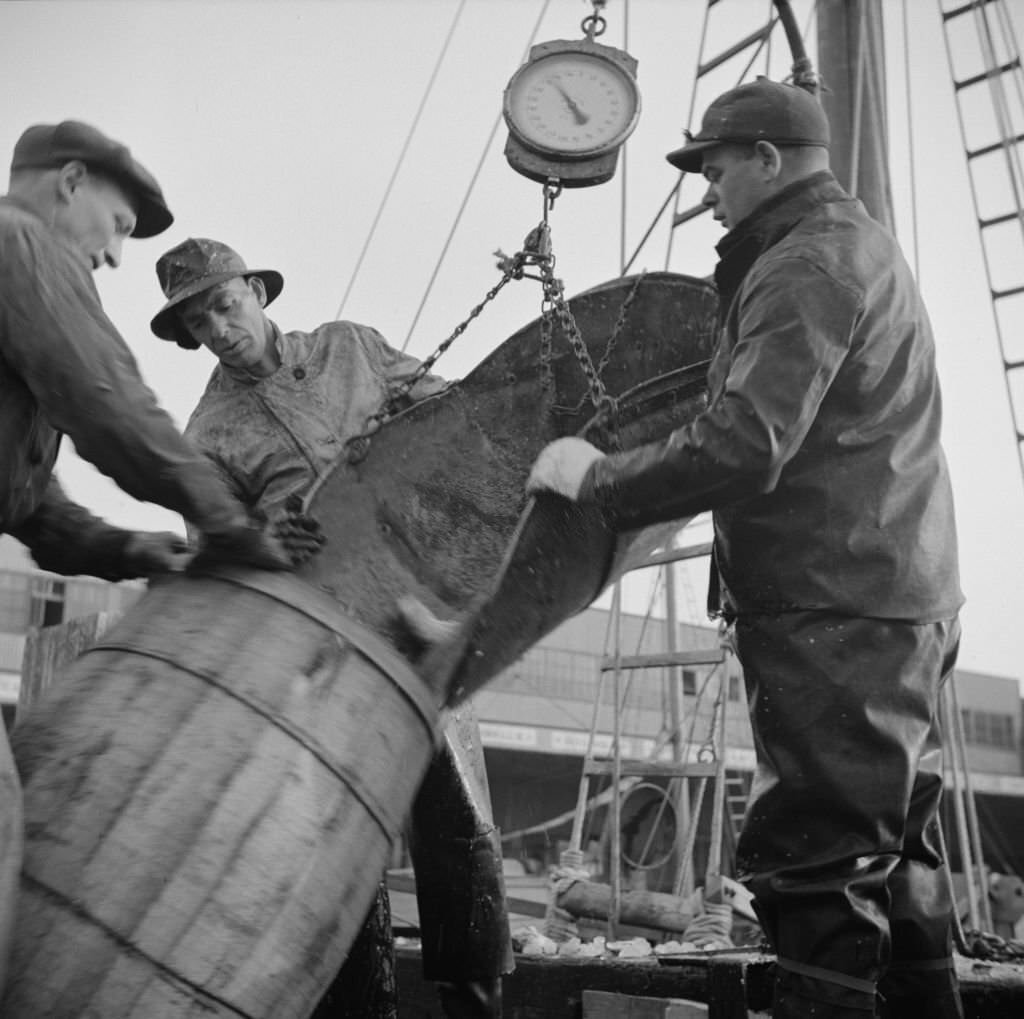 New England fishermen unloading fish at the Fulton fish market.