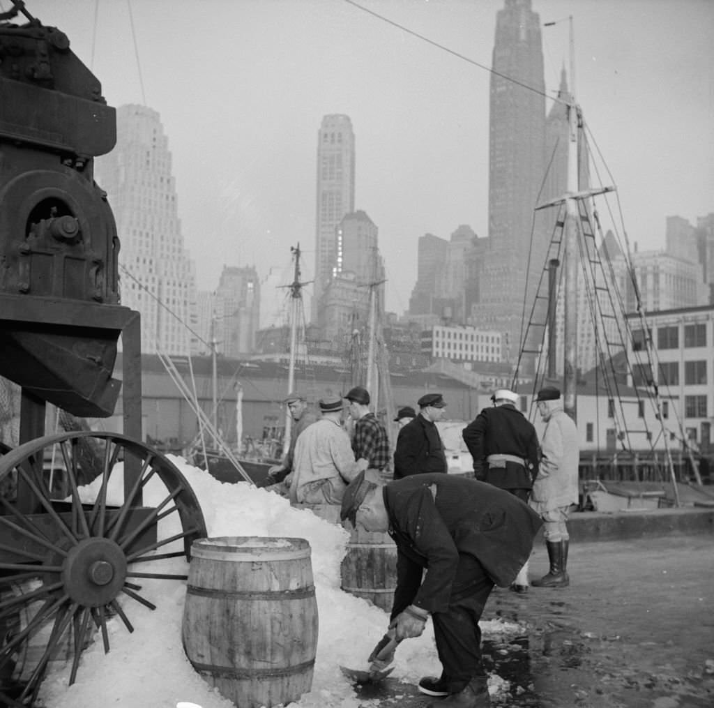 Icing barrels of fish at the Fulton fish market.