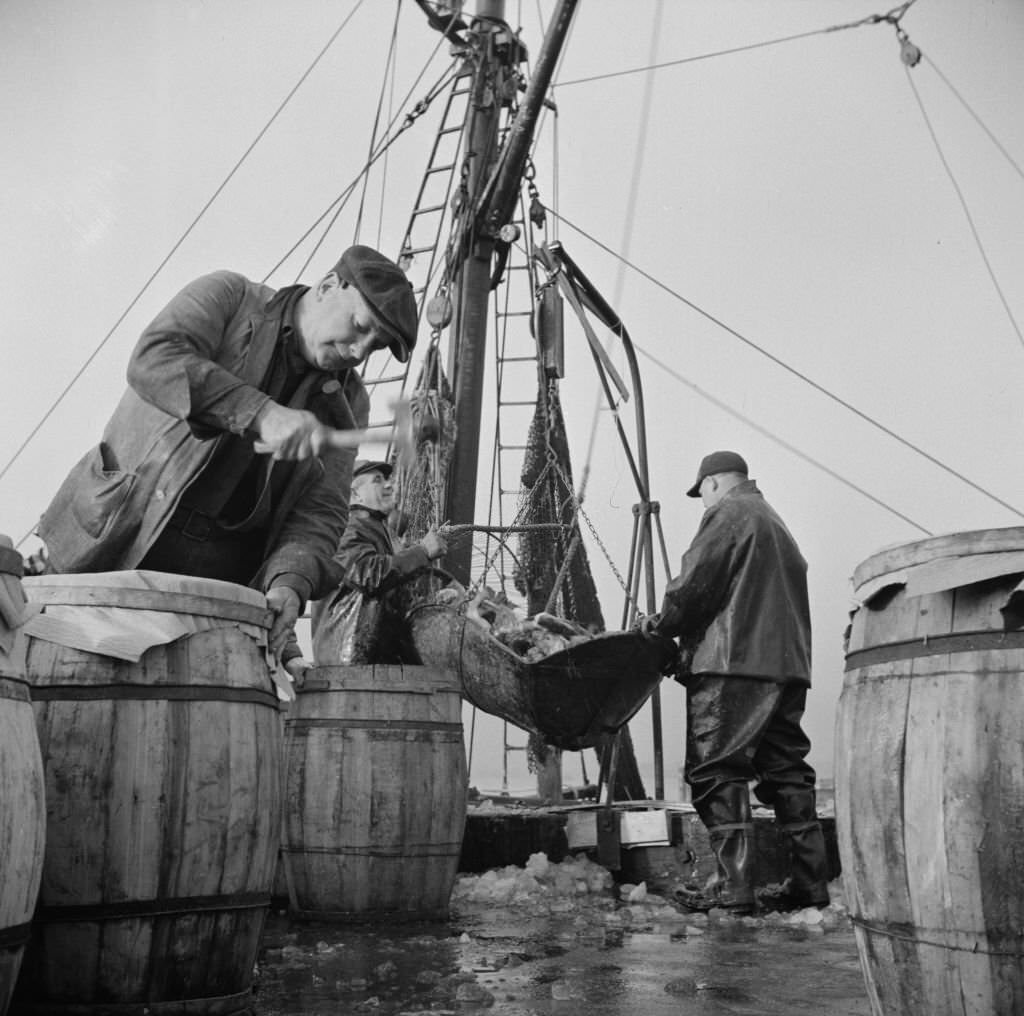 Unloading and packing fish at the Fulton fish market.