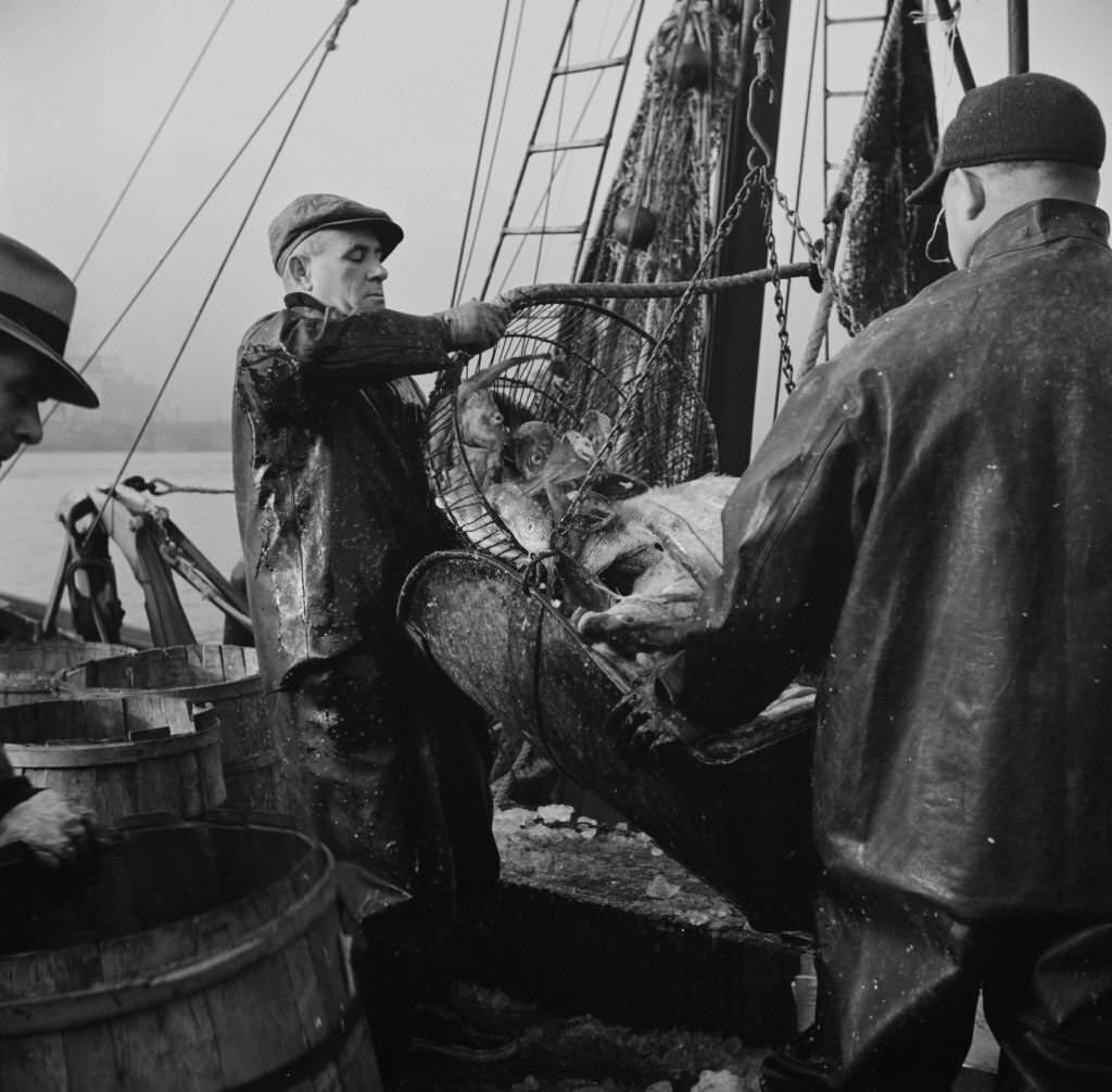 New England fishermen unloading fish at Fulton fish market.