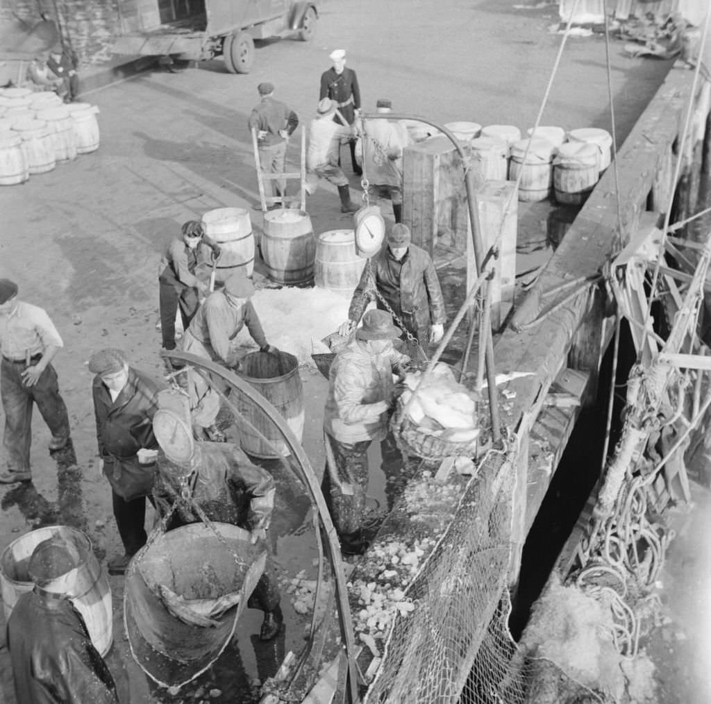 Dock stevedores at the Fulton fish market sending up baskets of fish from the holds of the boats to the docks, 1930s