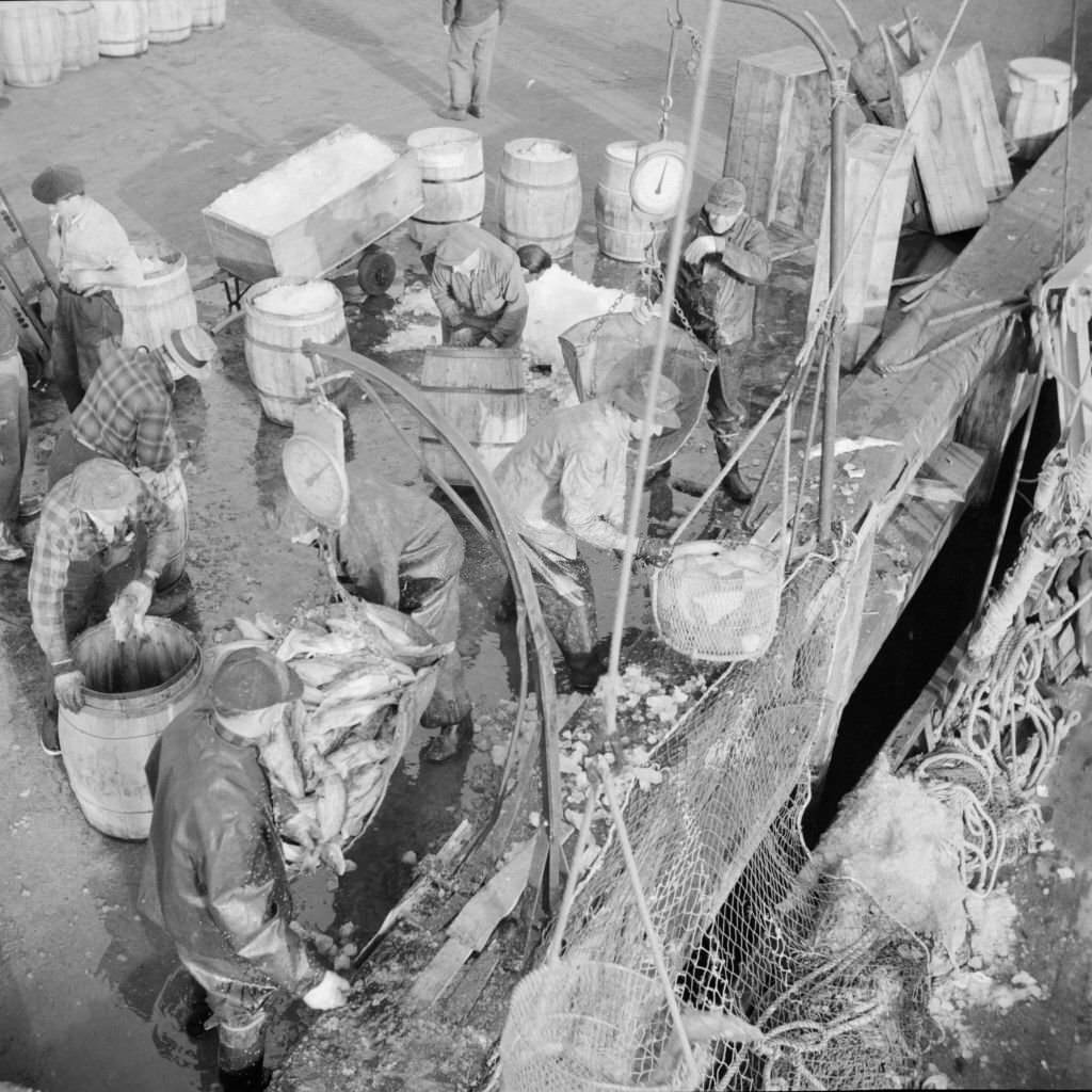 Stevedores at the Fulton fish market unloading fish from boats caught off, 1920s
