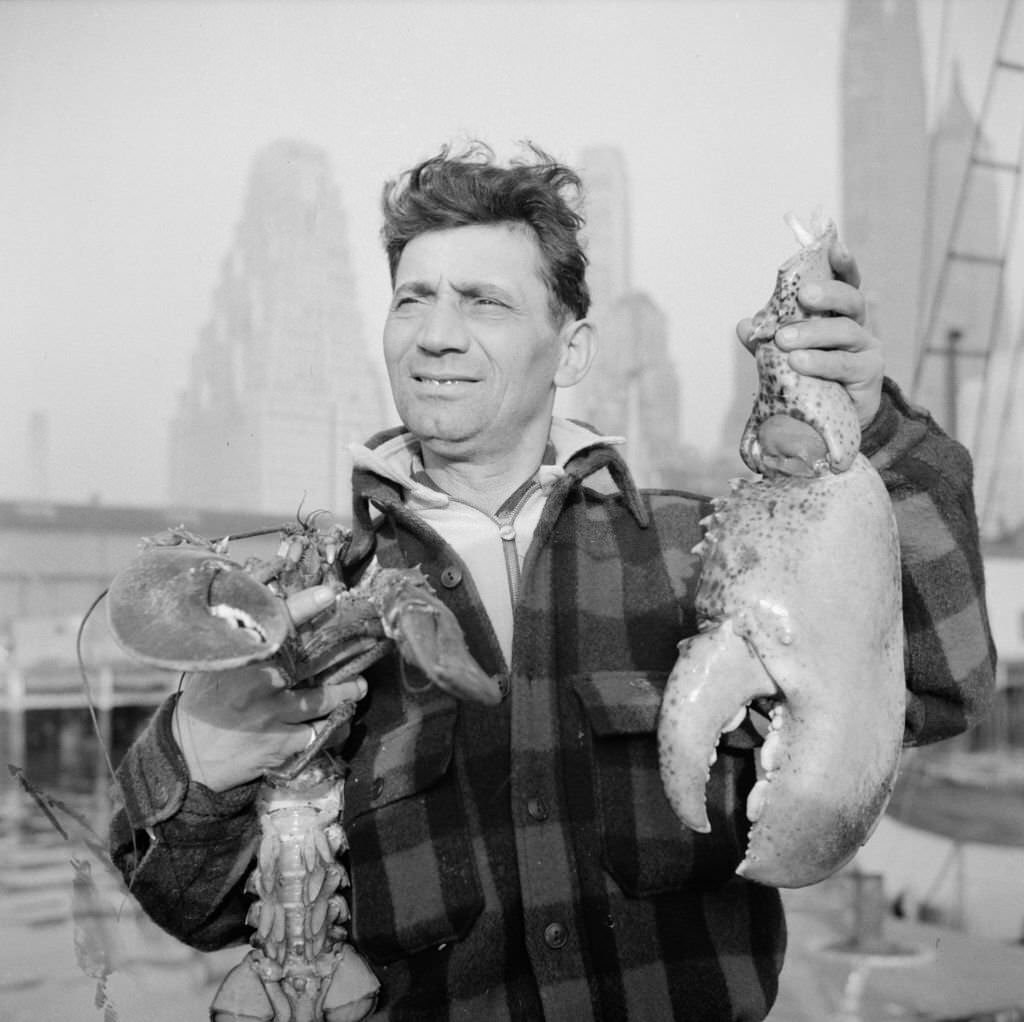 Dock stevedore at the Fulton fish market holding giant lobster claws. Artist Gordon Parks, 1930s