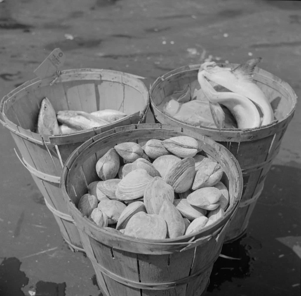 Baskets of seafood at the Fulton fish market, 1938