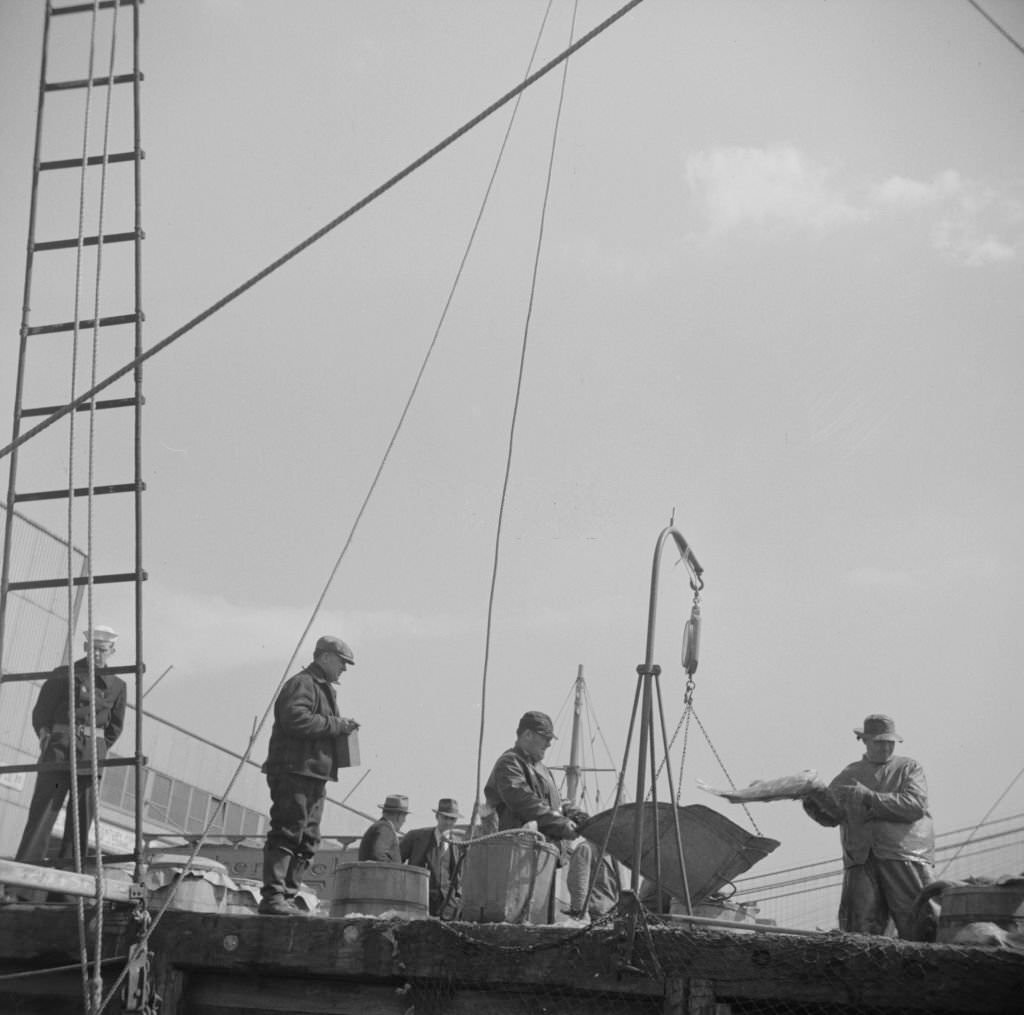 A scene at the Fulton fish market, 1934