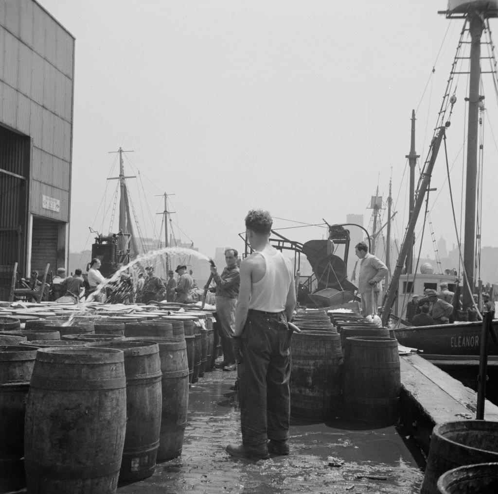 Watering fish at the Fulton fish market with brine water, 1934