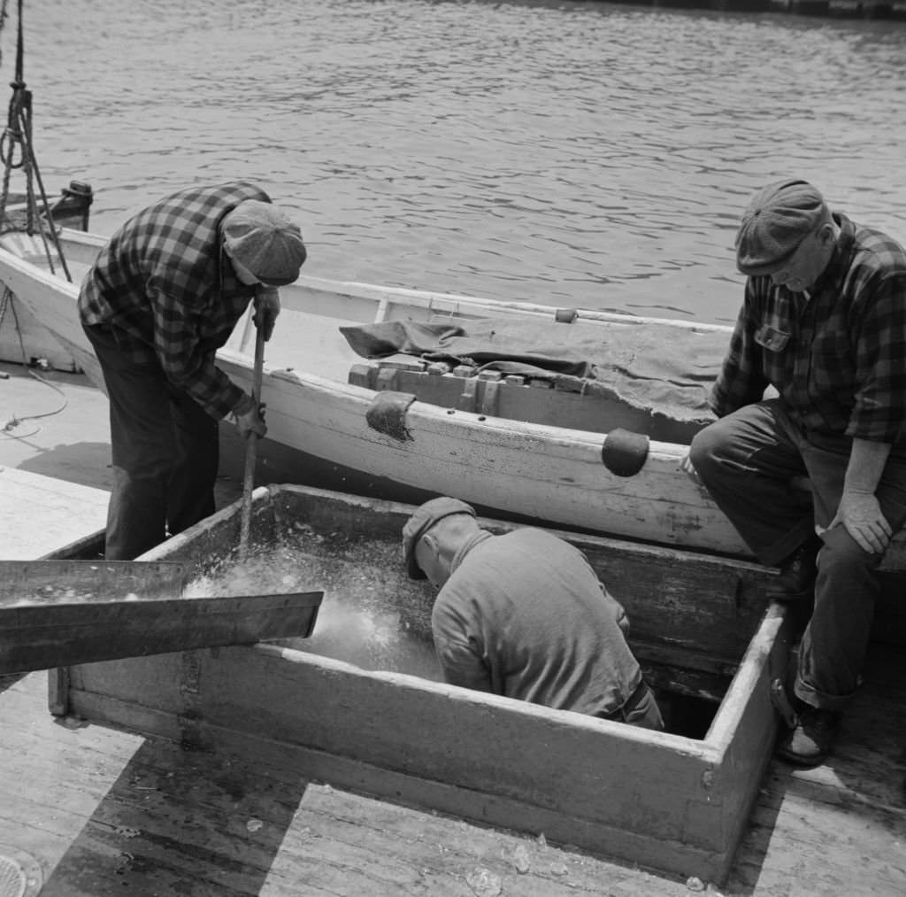 Icing the hold of a ship at the Fulton fish market, 1930s