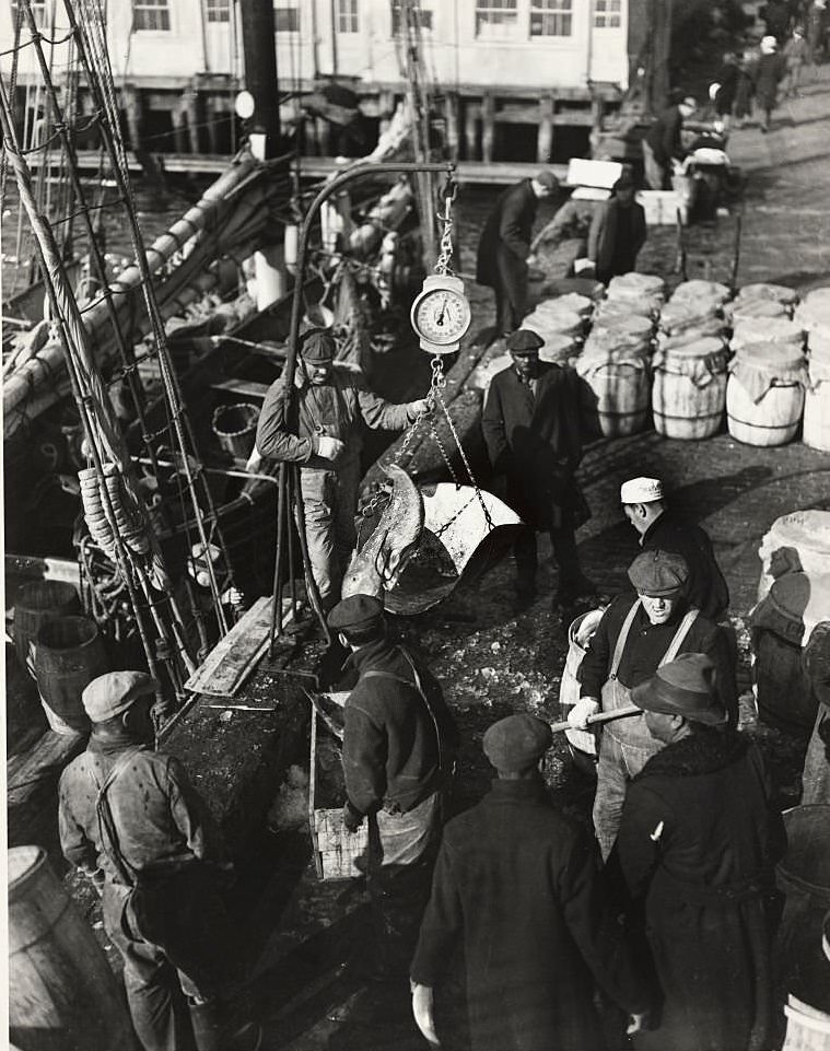 Fish being weighed at the Fulton Fish Market, before being shipped to the retail markets, 1920s