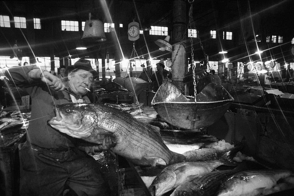 Man Preparing Fish at the Market, 1940s