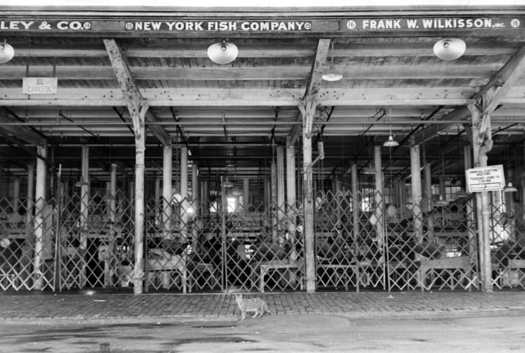 A view of the Fulton Fish Market, 1965 in South Street Seaport, Lower Manhattan, New York City.