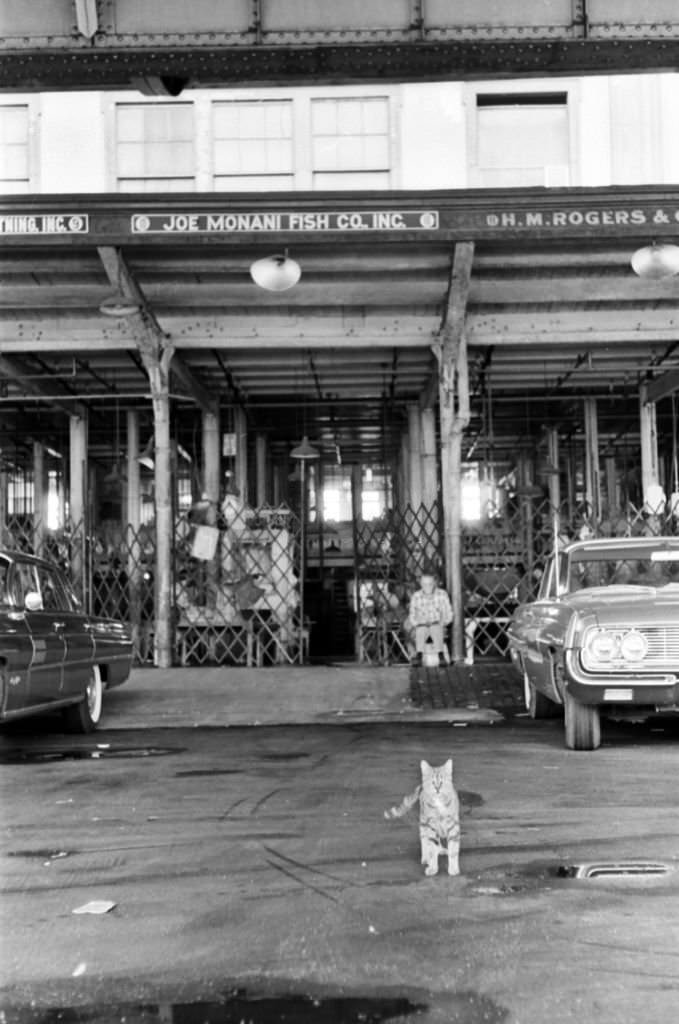A view of the Fulton Fish Market, 1965