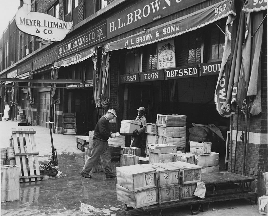 View of Meyer Litman & Co eggs and poultry section, located at 953 West Fulton Market, 1955