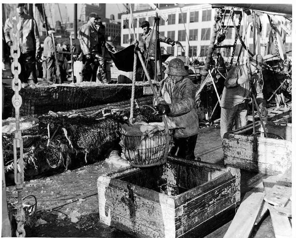 Workers unloading fish at Fulton Fish Market in New York City, 1955.