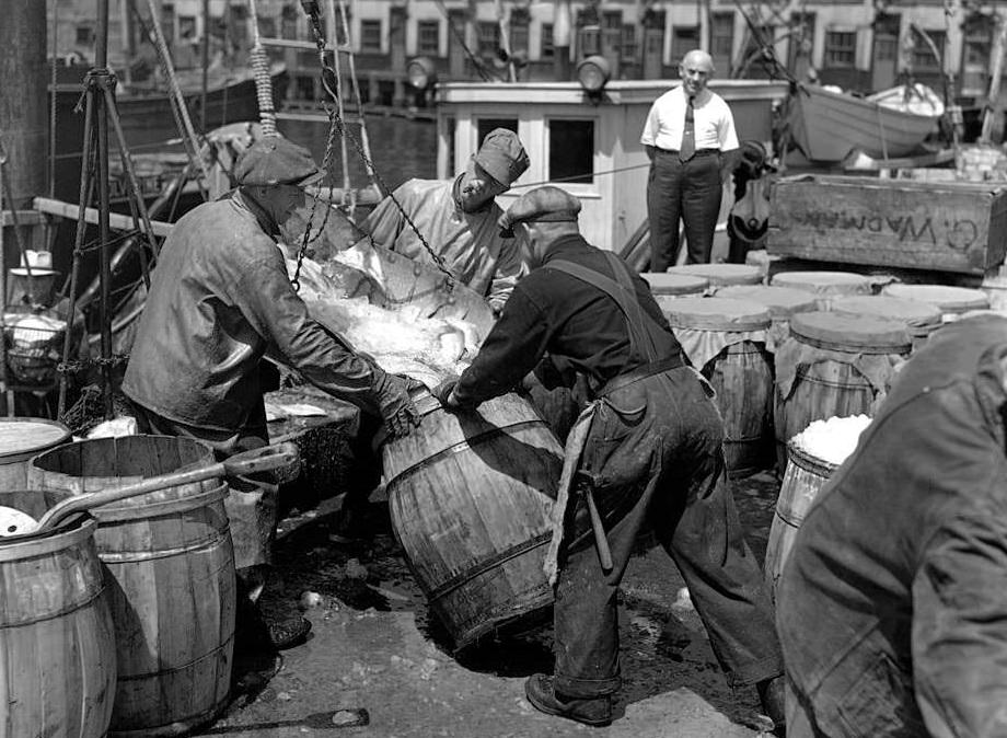 Fish being unloaded at Fulton Fish Market in New York City, 1955.