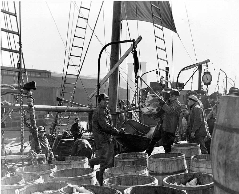 Workers at Fulton Fish Market in New York City, 1955.