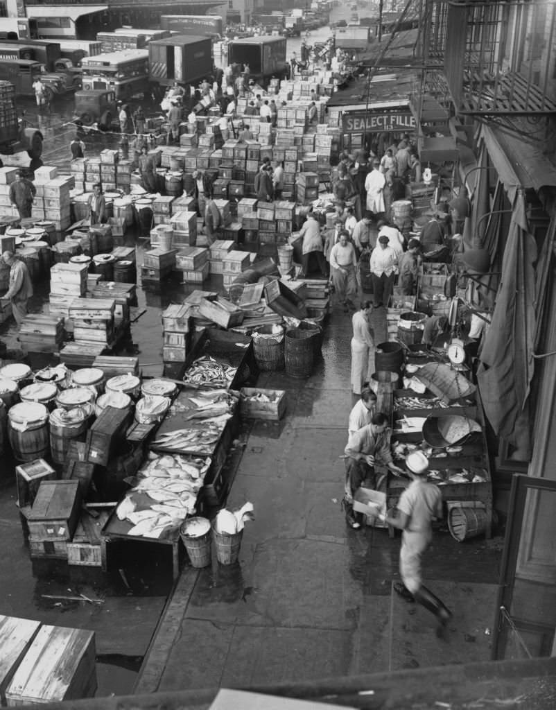 Workers at shipping piers, including number 16 (right), on South Street near the Fulton Fish Market, New York City, 5th July 1953.