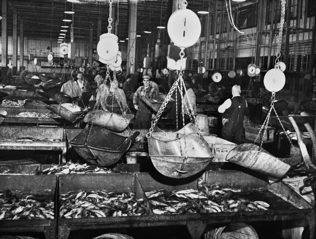 Scenes in Fulton Fish Market, New York City, 1953.