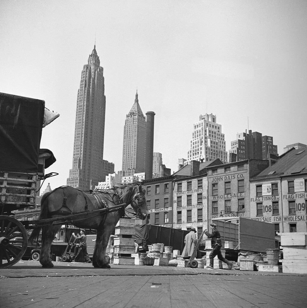 Activity in the Fulton Fish Market, 1943