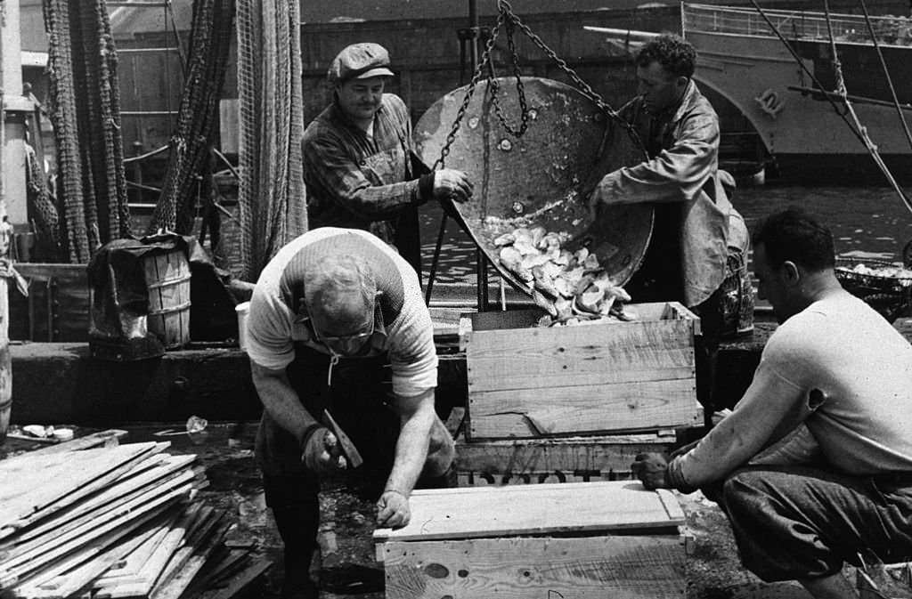 Dockers packing and icing fish at the Fulton Fish Market in New York City, 1943