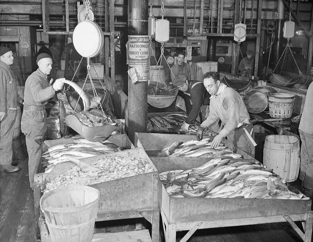 New York's famous Fulton Fish Market was known no scarcity of fish even with the war going on, 1940s