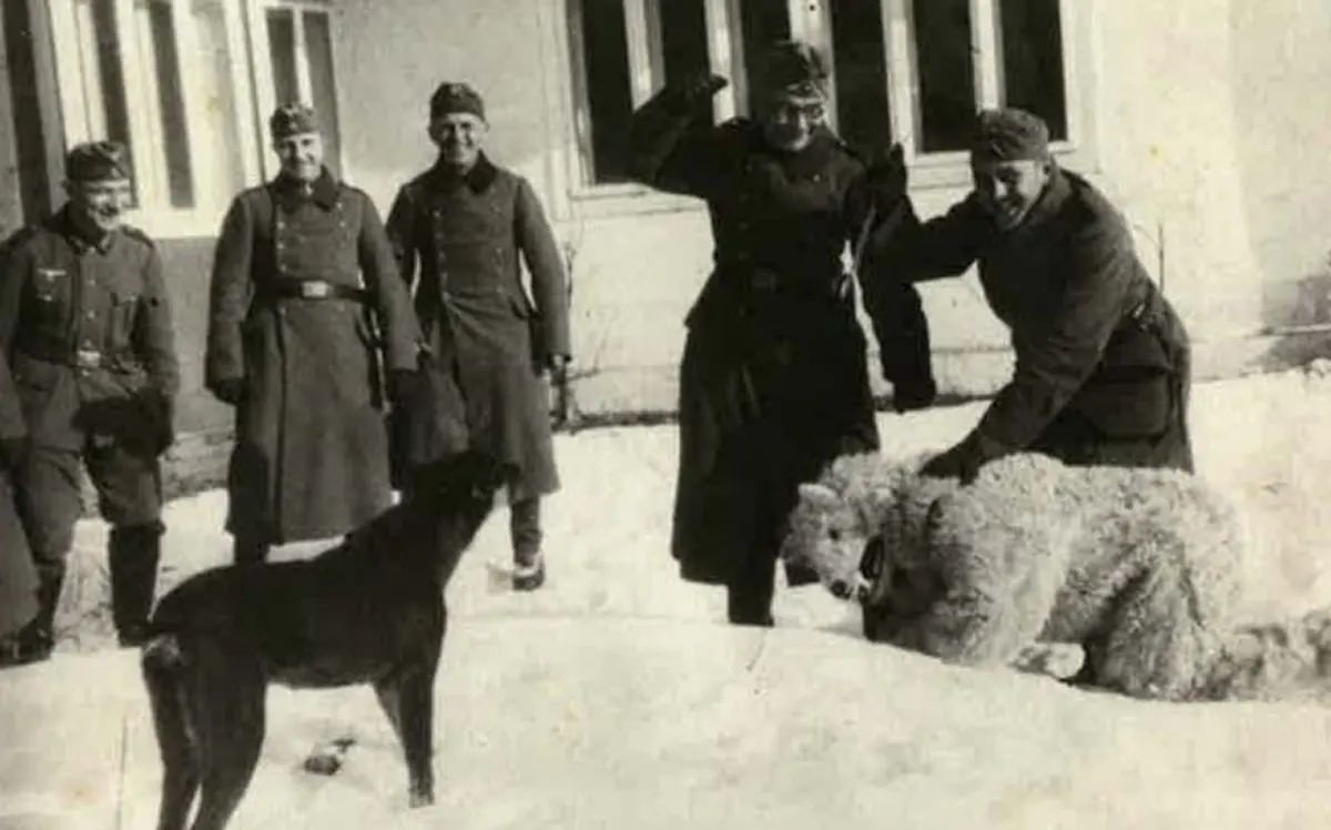 Fascinating Photos of Germans Posing with the Polar Bear Mascots, 1920-1970