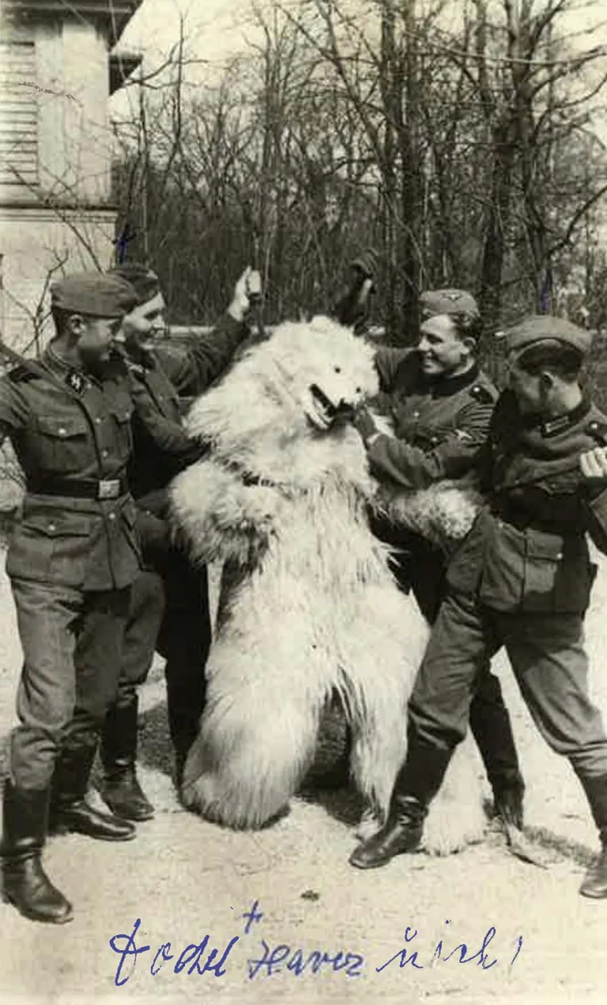 Fascinating Photos of Germans Posing with the Polar Bear Mascots, 1920-1970