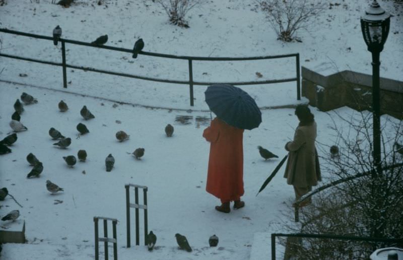 Two people watching the pigeons in Central Park, 1957.