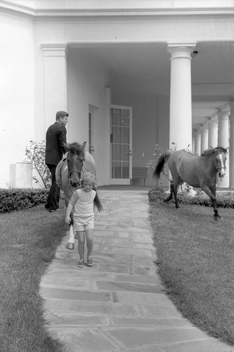 Macaroni: Photos of the Kennedys’ pony in White House, 1960s