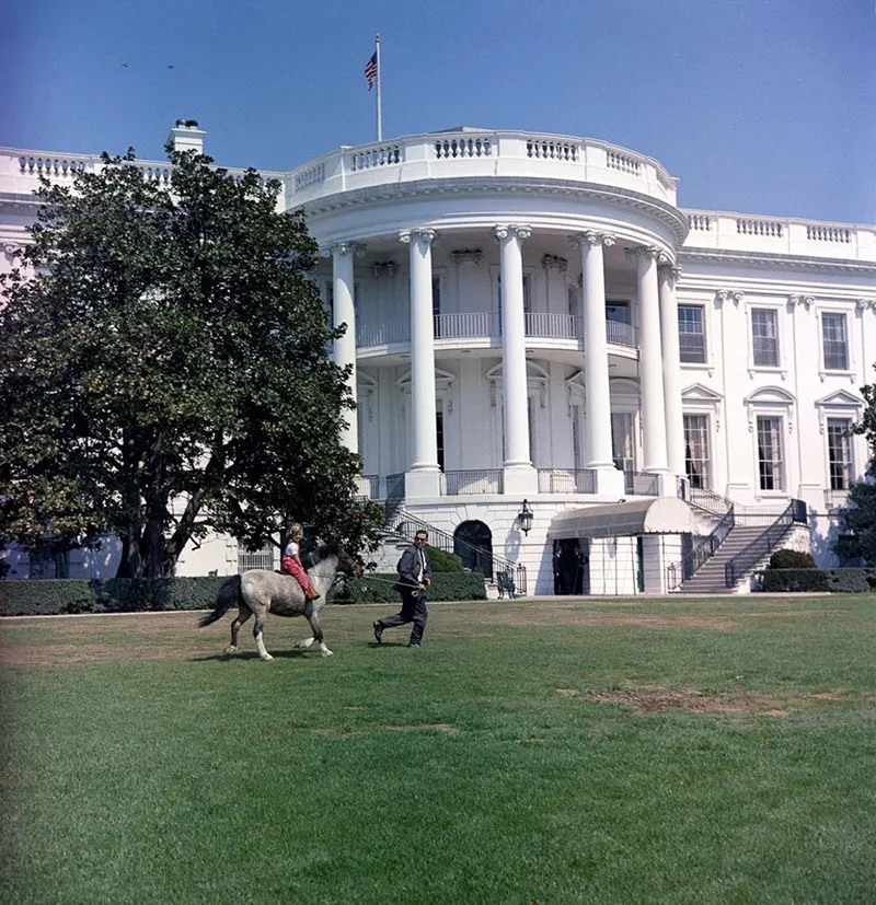 Macaroni: Photos of the Kennedys’ pony in White House, 1960s