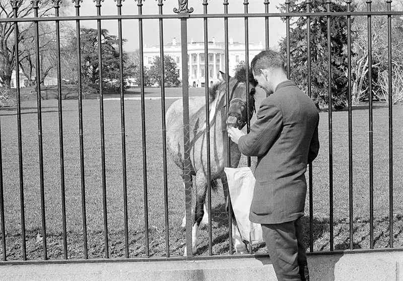 Macaroni: Photos of the Kennedys’ pony in White House, 1960s