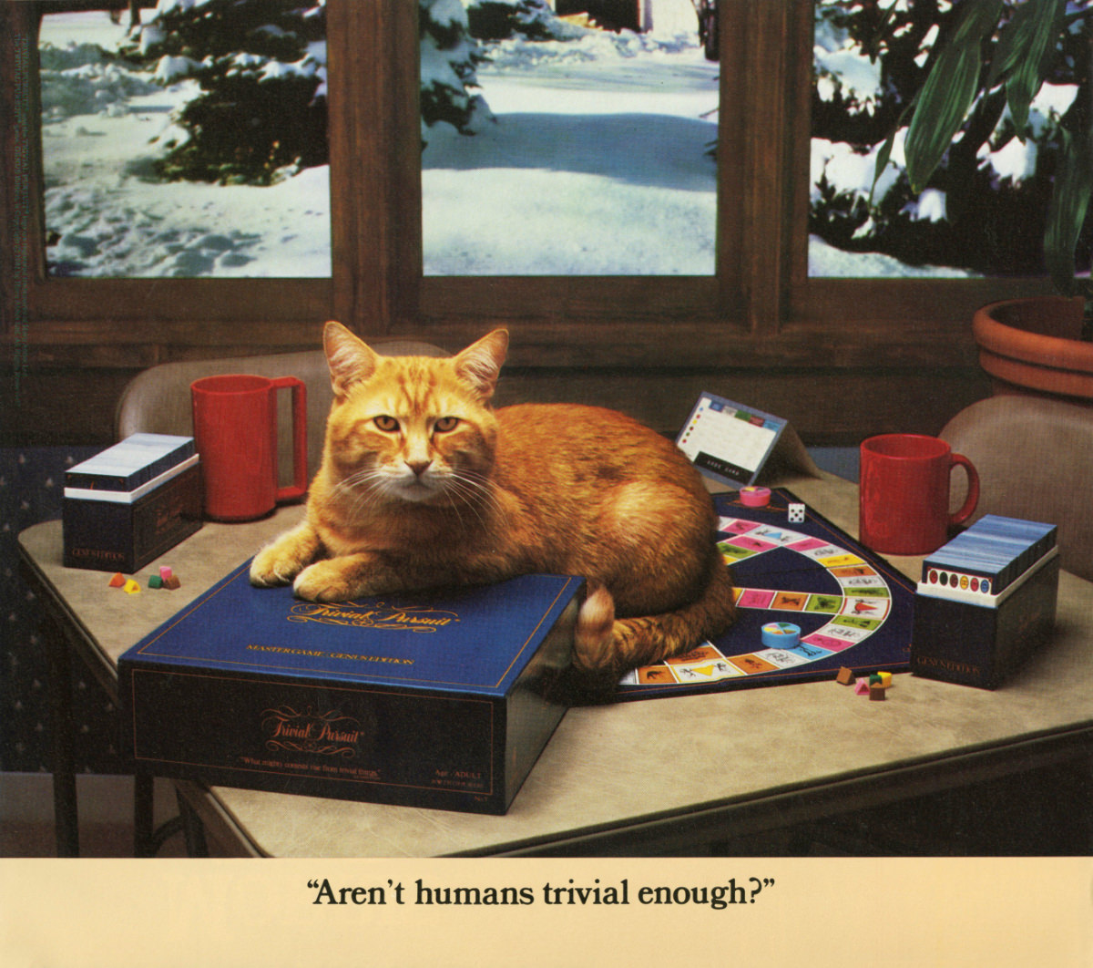 The 1986 Morris Calendar featuring the World's Most Finicky Cat