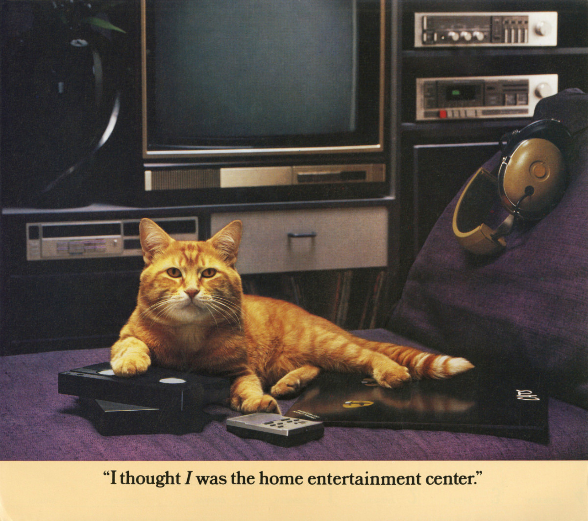 The 1986 Morris Calendar featuring the World's Most Finicky Cat