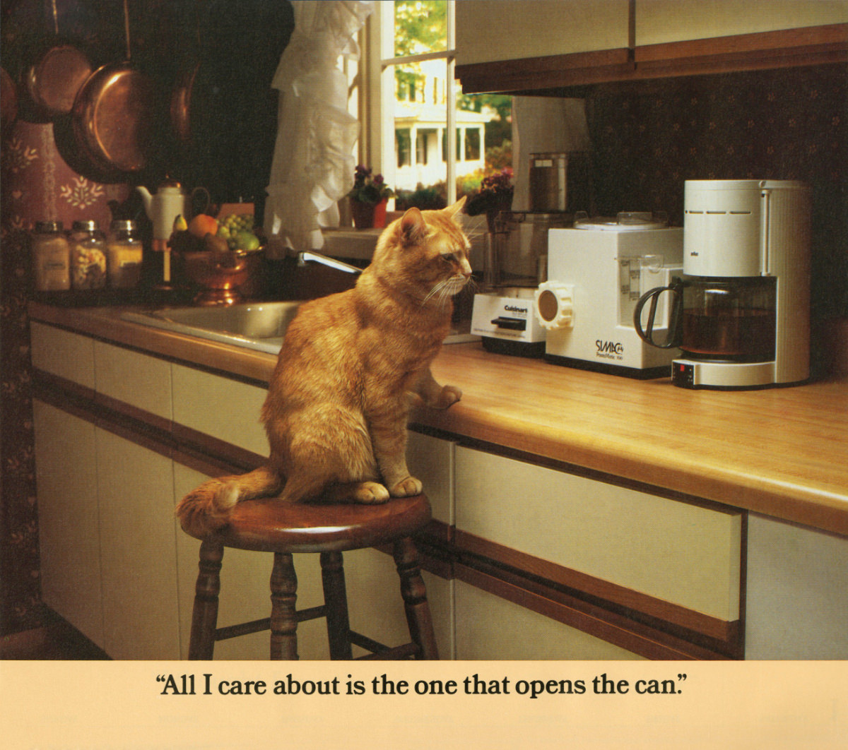 The 1986 Morris Calendar featuring the World's Most Finicky Cat