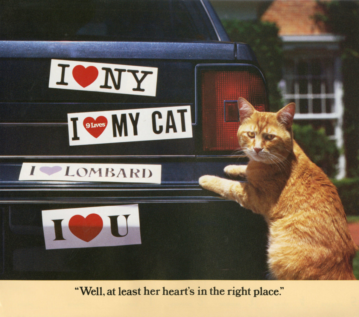 The 1986 Morris Calendar featuring the World's Most Finicky Cat